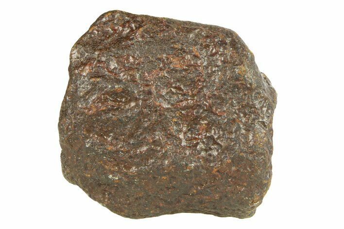 Gebel Kamil Iron Meteorite ( g) - Egypt #291827